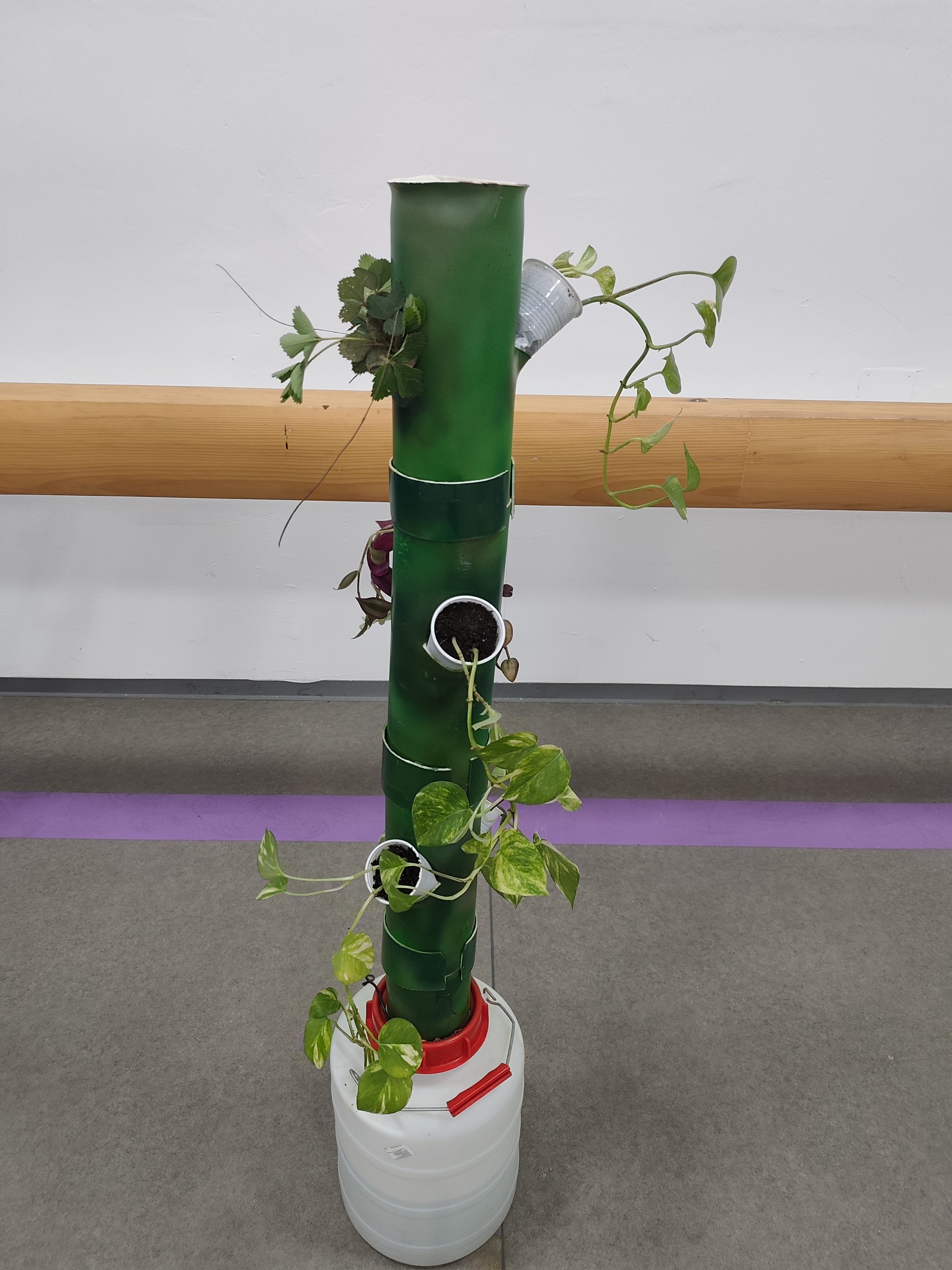 Close up of plants growing in the vertical farm