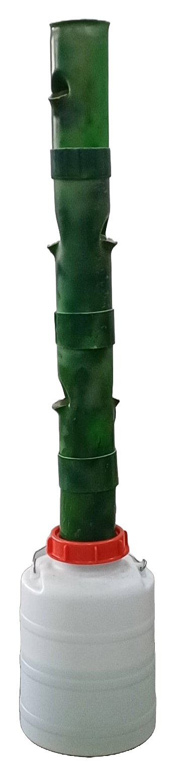 LeafUP Smart Vertical Farm